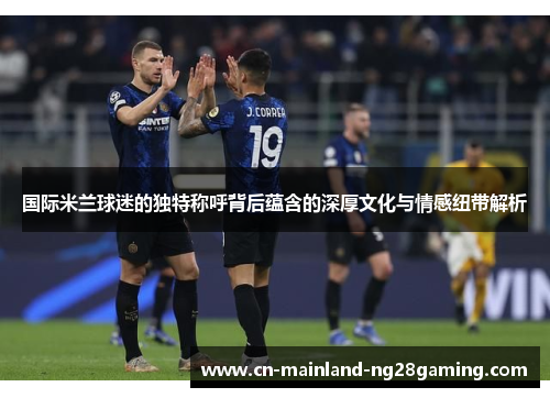 国际米兰球迷的独特称呼背后蕴含的深厚文化与情感纽带解析 国际米兰球迷的独特称呼背后蕴含的深厚文化与情感纽带解析