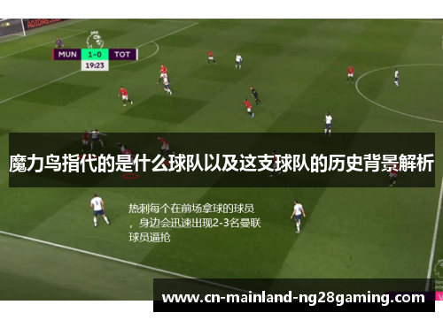 魔力鸟指代的是什么球队以及这支球队的历史背景解析 魔力鸟指代的是什么球队以及这支球队的历史背景解析
