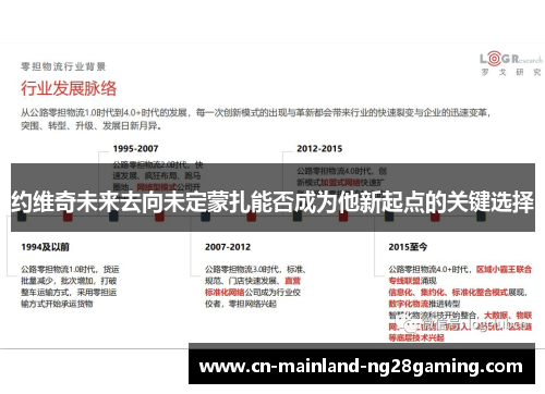 约维奇未来去向未定蒙扎能否成为他新起点的关键选择