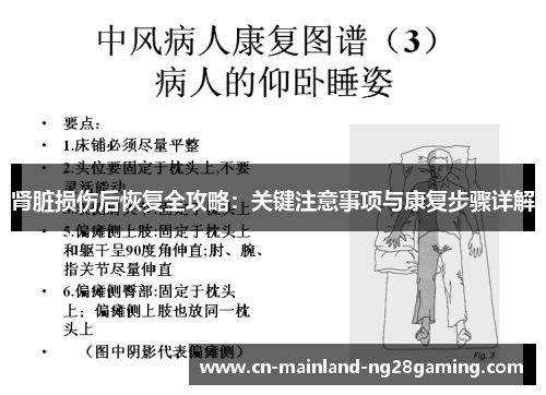 肾脏损伤后恢复全攻略：关键注意事项与康复步骤详解