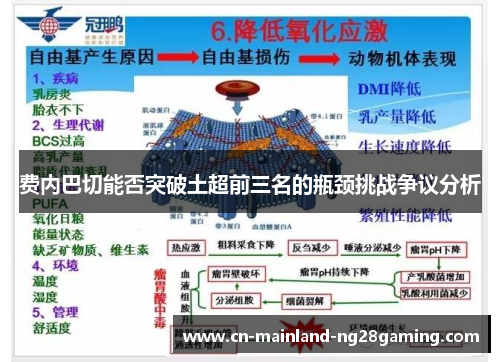 费内巴切能否突破土超前三名的瓶颈挑战争议分析