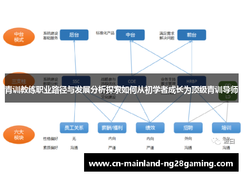 青训教练职业路径与发展分析探索如何从初学者成长为顶级青训导师