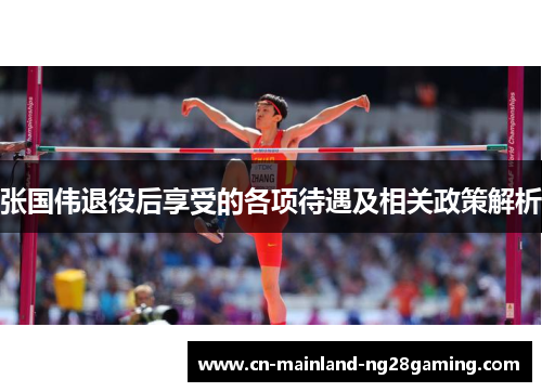 张国伟退役后享受的各项待遇及相关政策解析