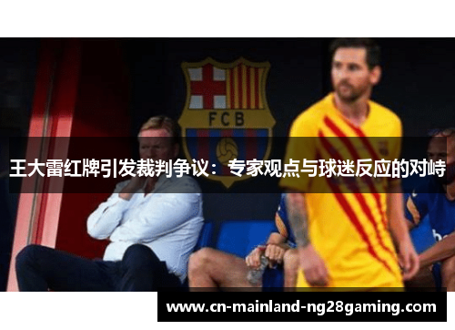 王大雷红牌引发裁判争议：专家观点与球迷反应的对峙