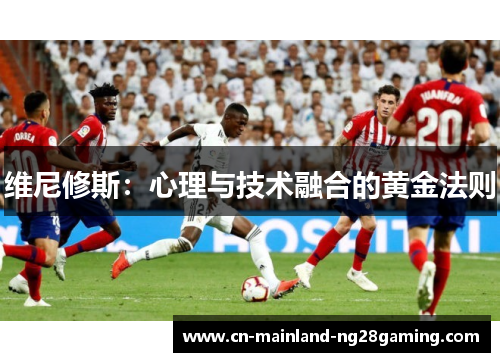 维尼修斯：心理与技术融合的黄金法则