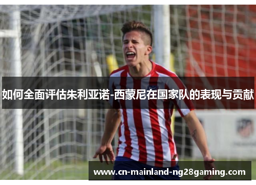 如何全面评估朱利亚诺-西蒙尼在国家队的表现与贡献