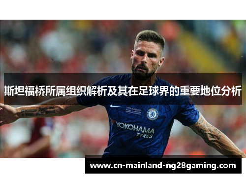 斯坦福桥所属组织解析及其在足球界的重要地位分析