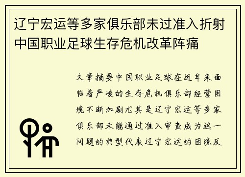 辽宁宏运等多家俱乐部未过准入折射中国职业足球生存危机改革阵痛
